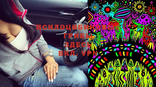 твердый Абаза