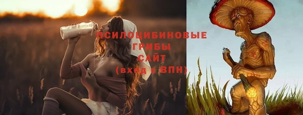 твердый Абаза