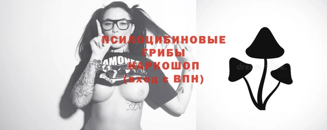 наркотики Абинск
