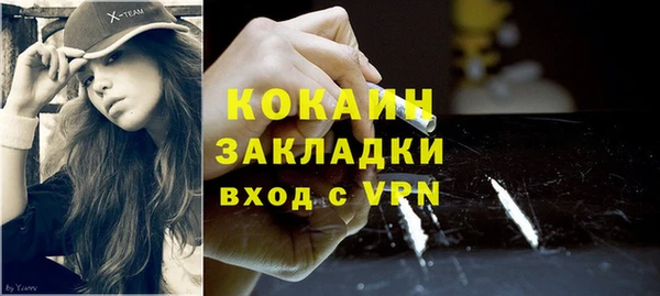 твердый Абаза